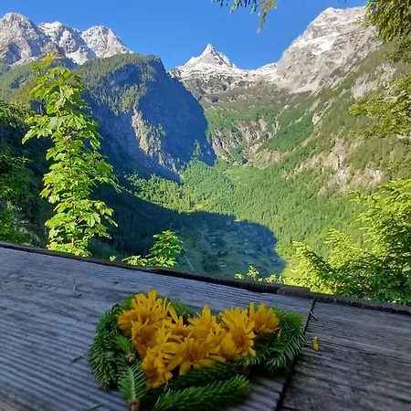 Sam's Hairberge Daire